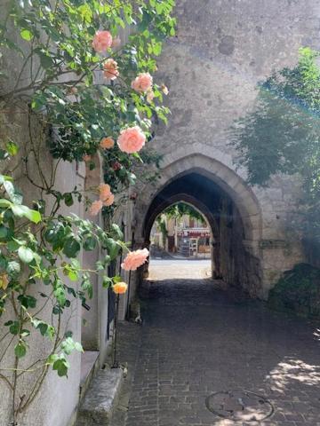 Maison Jeanne D'Arc Mennetou-sur-Cher Esterno foto